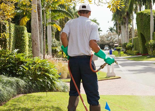 About Victor WV Pest Control